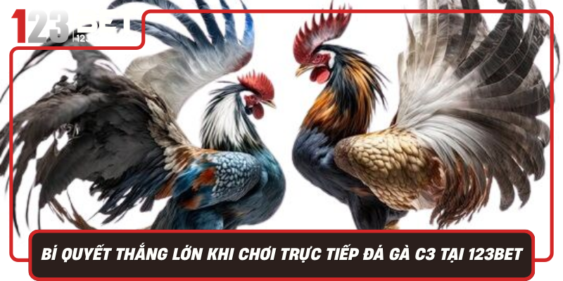 Bi Quyet Thang Lon Khi Choi Truc Tiep Da Ga C3 Tai 123Bet