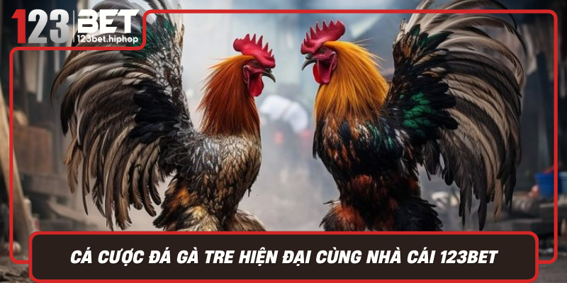 Ca Cuoc Da Ga Tre Hien Dai Cung Nha Cai 123Bet