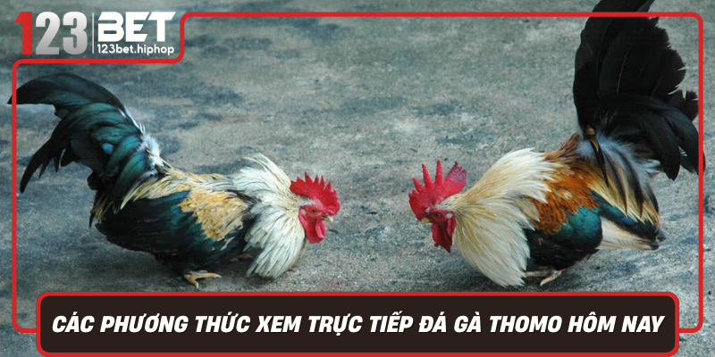 Cac Phuong Thuc Xem Truc Tiep Da Ga Thomo Hom Nay