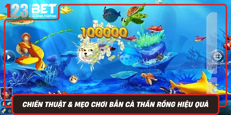 Chien Thuat Meo Choi Ban Ca Than Rong Hieu Qua