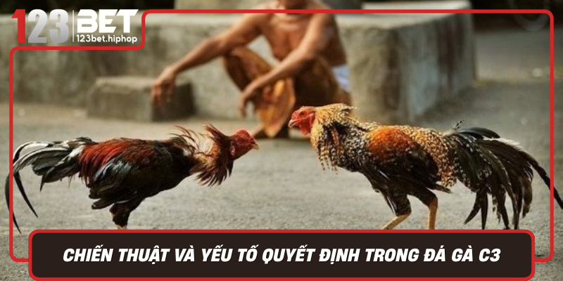 Chien Thuat Va Yeu To Quyet Dinh Trong Da Ga C3