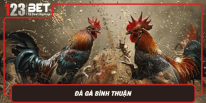 Da Ga Binh Thuan