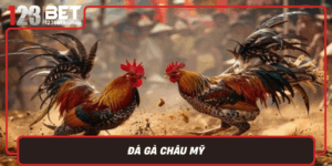 Da Ga Chau My