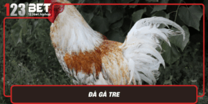 Da Ga Tre