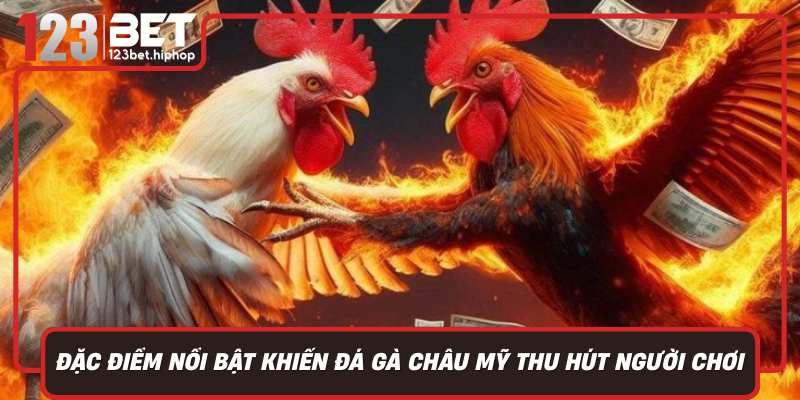 Dac Diem Noi Bat Khien Da Ga Chau My Thu Hut Nguoi Choi