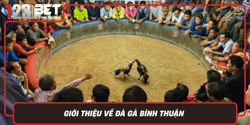 Gioi Thieu Ve Da Ga Binh Thuan Gia Tri Van Hoa Va Truyen Thong Lau Doi