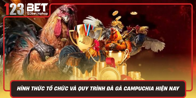 Hinh Thuc To Chuc Va Quy Trinh Da Ga Campuchia Hien Nay