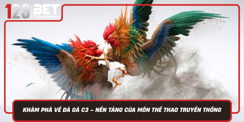 Kham Pha Ve Da Ga C3 Nen Tang Cua Mon The Thao Truyen Thong