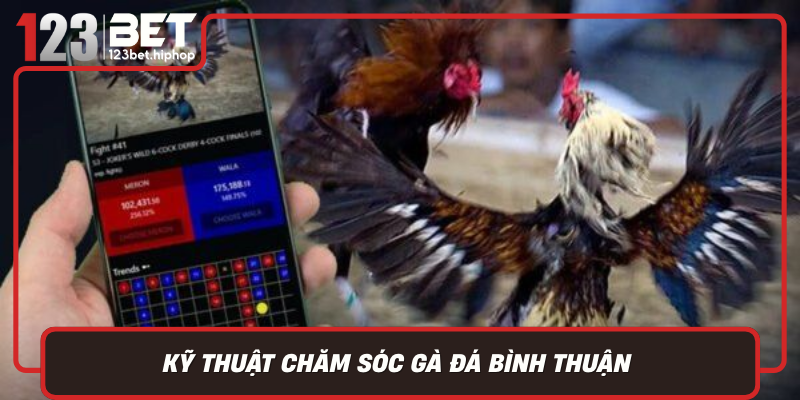 Ky Thuat Cham Soc Ga Da Binh Thuan Yeu To Quyet Dinh Thanh Bai