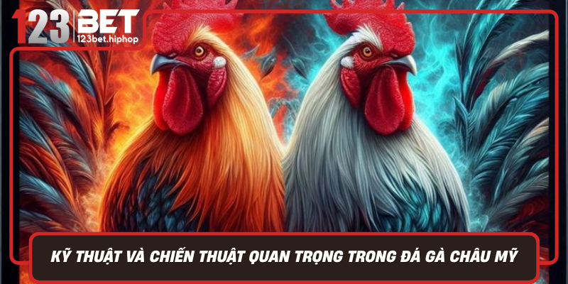 Ky Thuat Va Chien Thuat Quan Trong Trong Da Ga Chau My