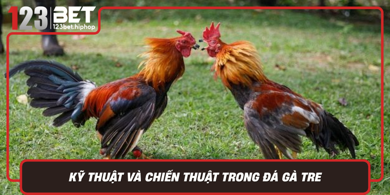 Ky Thuat Va Chien Thuat Trong Da Ga Tre