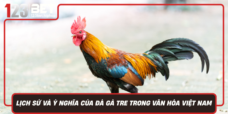 Lich Su Va Y Nghia Cua Da Ga Tre Trong Van Hoa Viet Nam