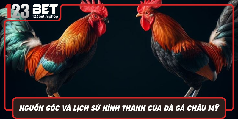 Nguon Goc Va Lich Su Hinh Thanh Cua Da Ga Chau My