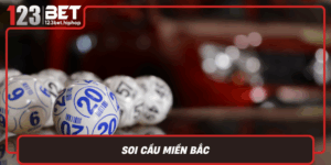 Soi Cau Mien Bac
