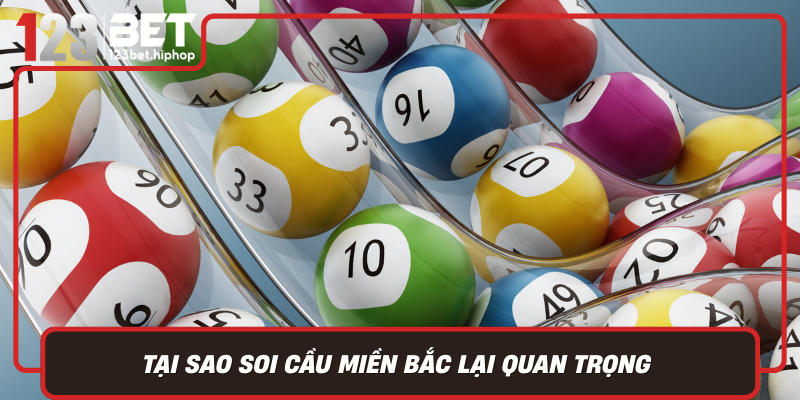 Tai Sao Soi Cau Mien Bac Lai Quan Trong Trong Ca Cuoc Xo So