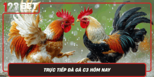 Truc Tiep Da Ga C3 Hom Nay