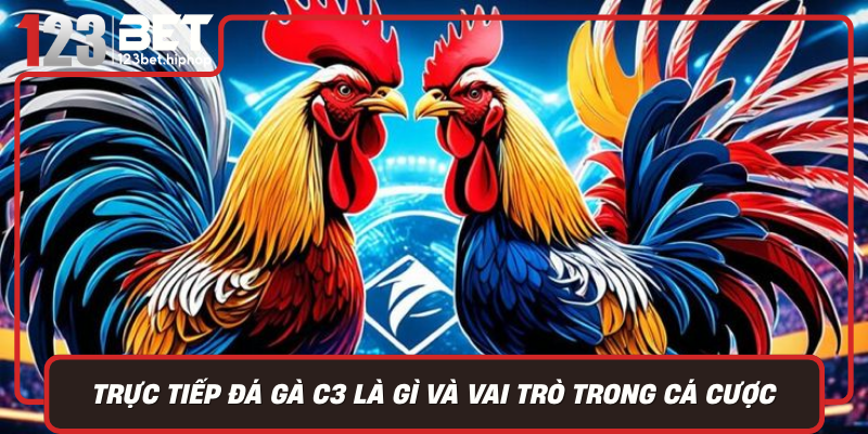Truc Tiep Da Ga C3 La Gi Va Vai Tro Trong Ca Cuoc