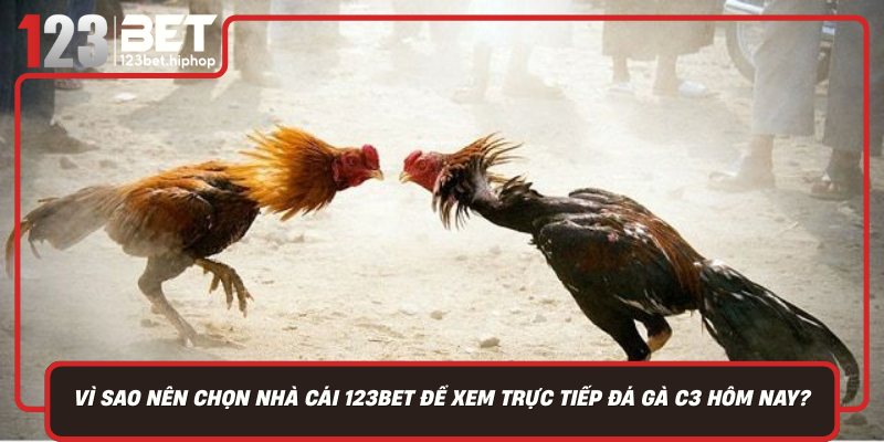 Vi Sao Nen Chon Nha Cai 123Bet De Xem Truc Tiep Da Ga C3 Hom Nay