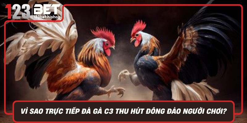 Vi Sao Truc Tiep Da Ga C3 Thu Hut Dong Dao Nguoi Choi