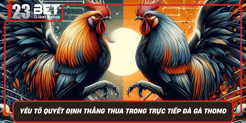 Yeu To Quyet Dinh Thang Thua Trong Truc Tiep Da Ga Thomo Hom Nay