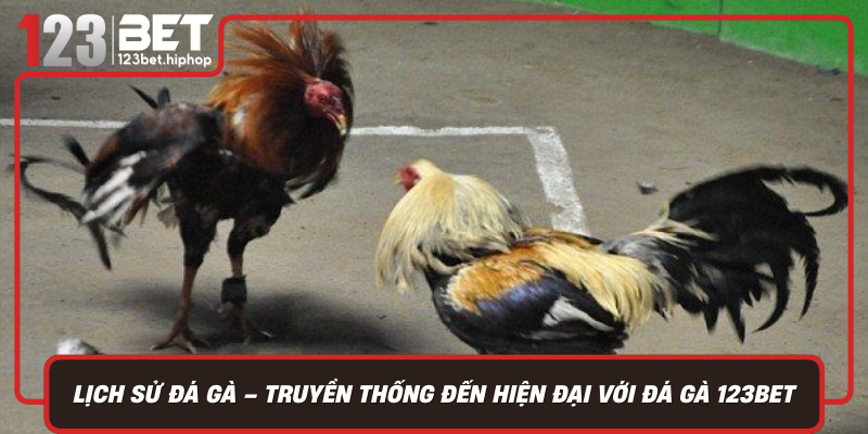 Lịch Sử Phát Triển Của Đá Gà – Từ Truyền Thống Đến Hiện Đại Với Đá Gà 123Bet